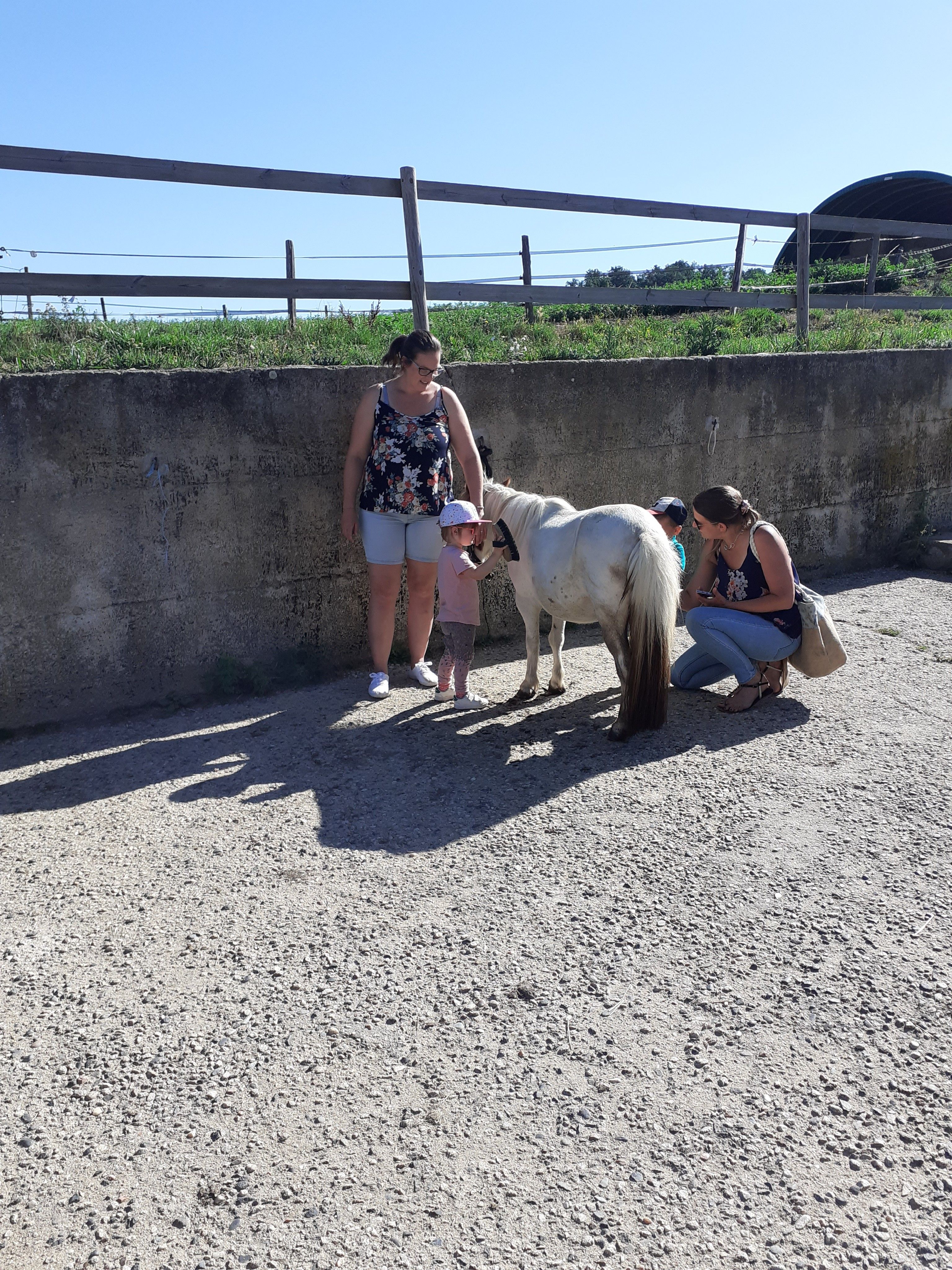 blockValue.e34ac70b-8d12-4e94-905b-9d9e67855683.url_img_2_alt