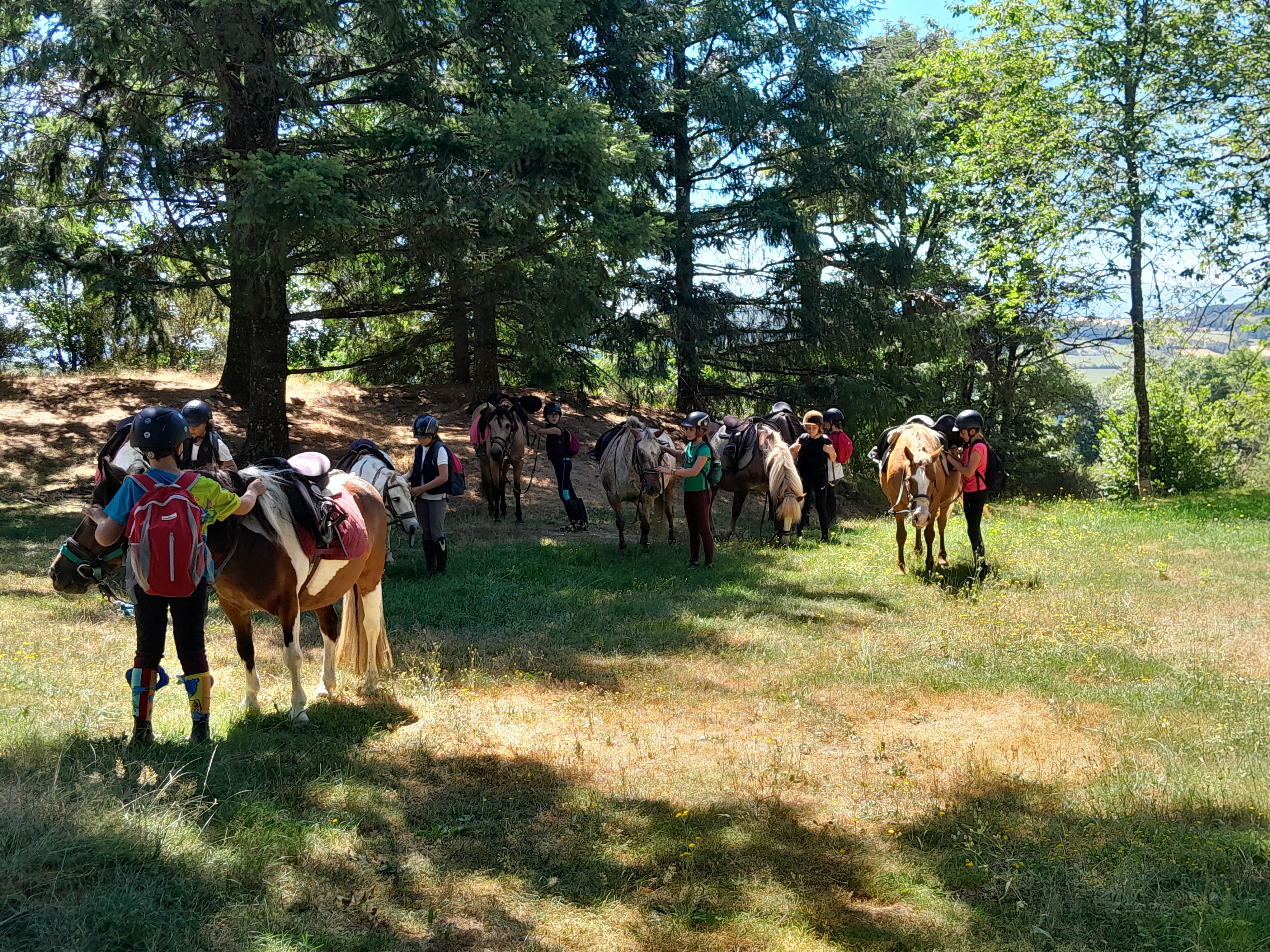 blockValue.8e2c5a58-fa74-4c56-8484-9ed03065ffda.url_img_3_alt